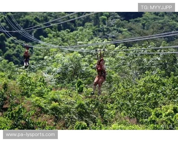 _滑索穿越森林：在绿色海洋中极速驰骋_，滑索图片