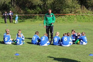 乐鱼体育APP官方下载-中国篮球教练员团队协作能力培养与管理实践，篮球教练员在团队中扮演了哪些角色